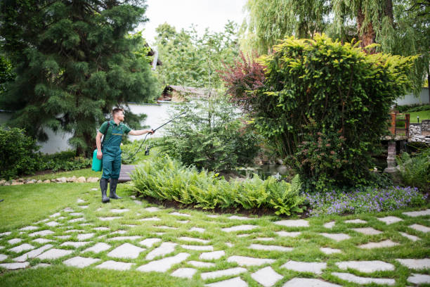 Best Cockroach Control Services  in Manly, IA