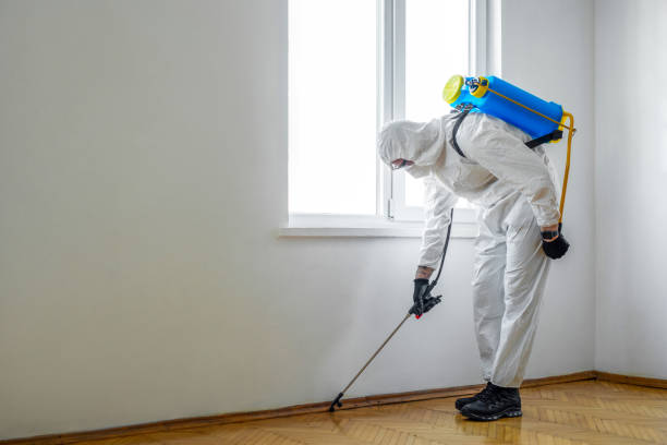 Best Affordable Pest Control Services  in Manly, IA