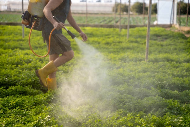 Reliable Manly, IA Pest Control Solutions