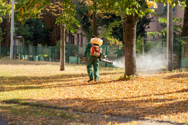 Wasp Removal Services in Manly, IA