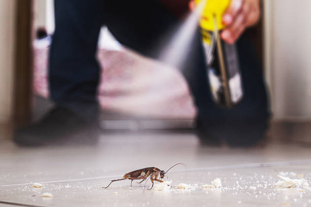 Best Best Pest Control Companies  in Manly, IA