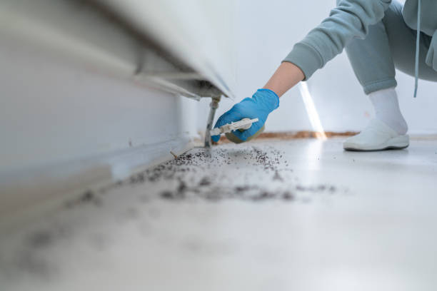 Best Emergency Pest Control  in Manly, IA